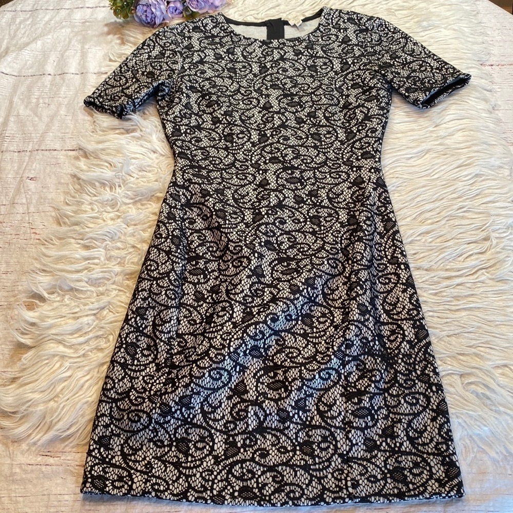 Aritzia Wilfred Mignonne Lace Print Shift Dress sz XS